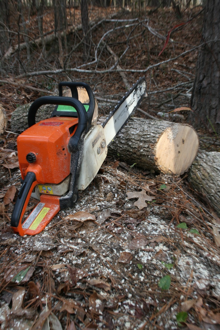 CỦI CAO SU (RUBBERWOOD FIREWOOD) 3
