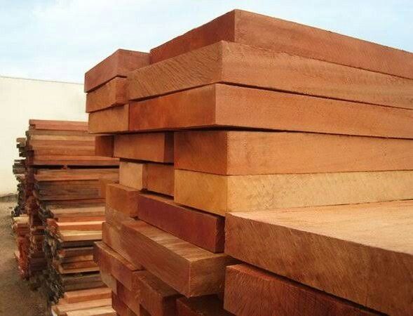 GỖ DẦU (DIPTEROCARP WOOD / MELALEUCA WOOD) - gallery 2
