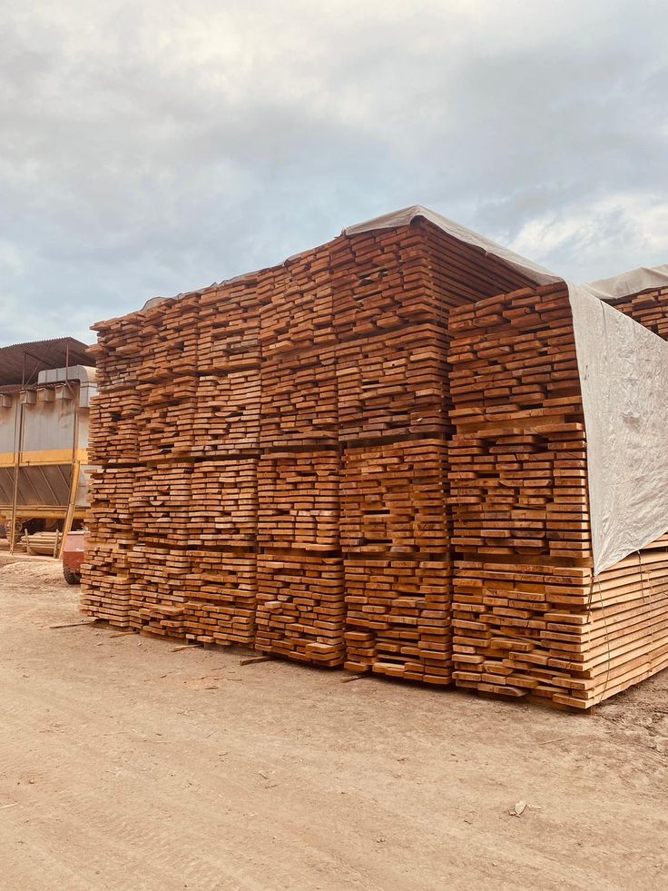 GỖ DẦU (DIPTEROCARP WOOD / MELALEUCA WOOD) - gallery 6