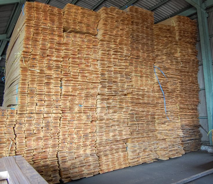 GỖ TRÀM XẺ SẤY (KILN-DRIED MELALEUCA) - gallery 2